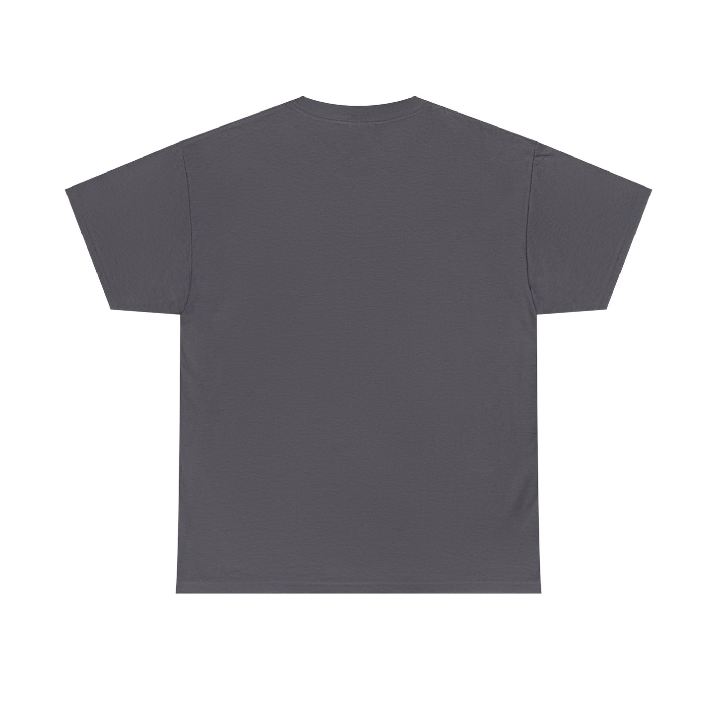 HAPSTR Men's Heavy Cotton Tee